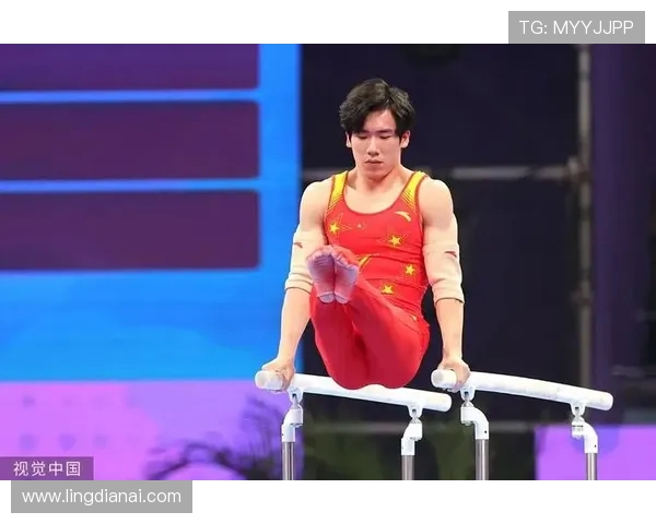 张博恒谈对体操未来的宏图望
